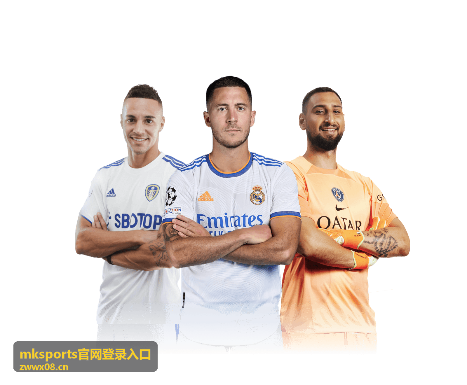 mksports官网登录入口使用指南